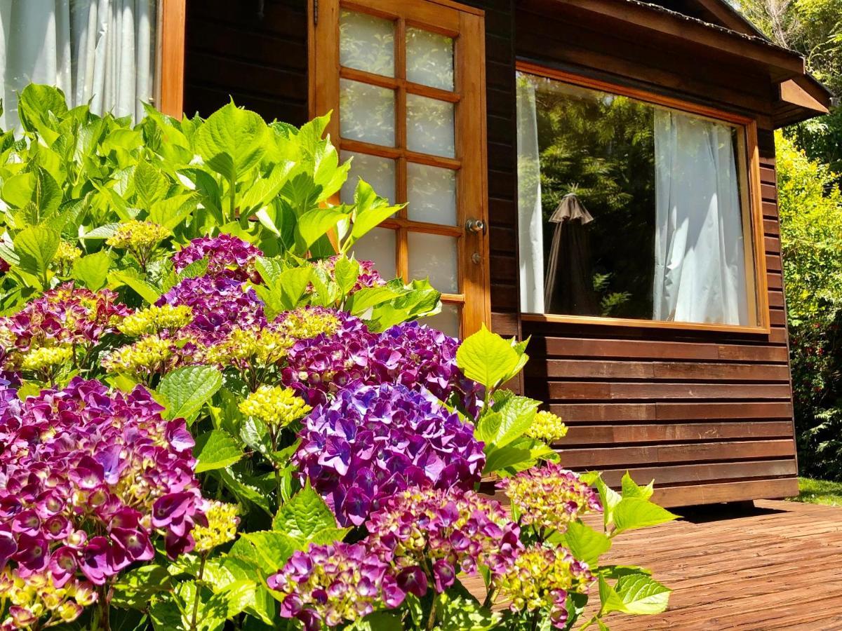 Cabanas Monte Verde Pucón Eksteriør billede